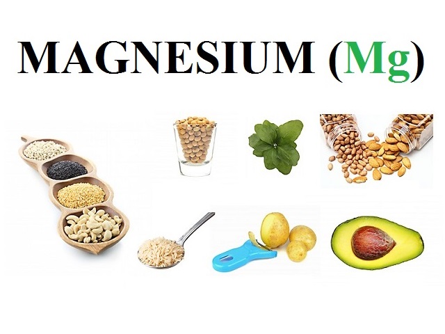  Magnesium