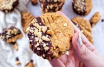 Peanut butter and chocolate cookie recipe
